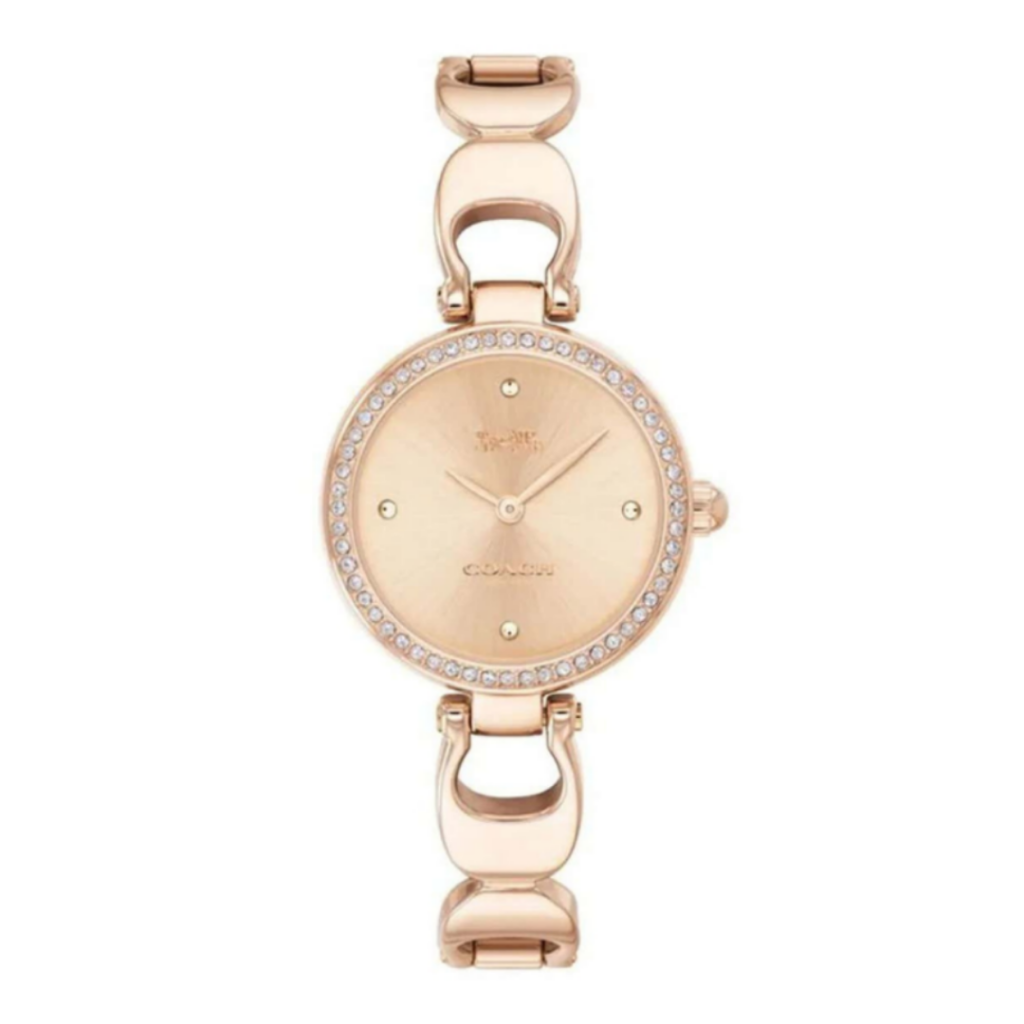 C.O.A.C.H Park Analog Watch