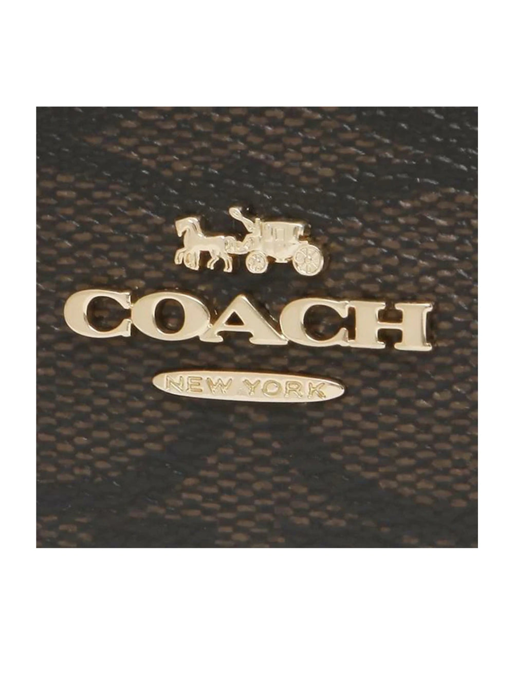 C.O.A.C.H Zip Card Case